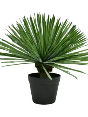Faux Small Yucca Plant
