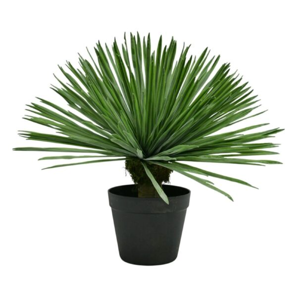 Faux Small Yucca Plant