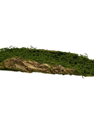 Faux Moss Log