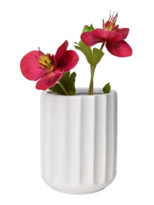 White Ceramic Vase