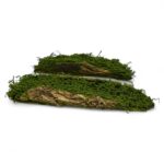 Faux Moss Log