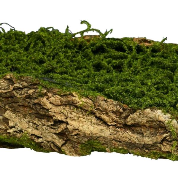 Faux Moss Log