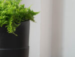 Black Fiberstone Cocoon Planter