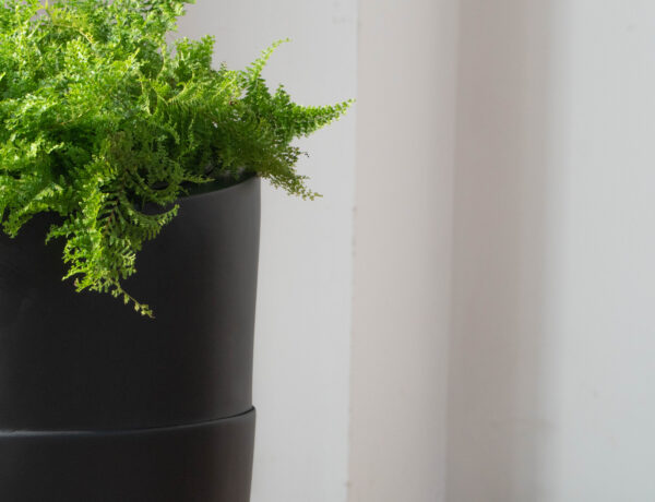 Black Fiberstone Cocoon Planter