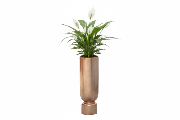 Reversible Planter w/ Insert