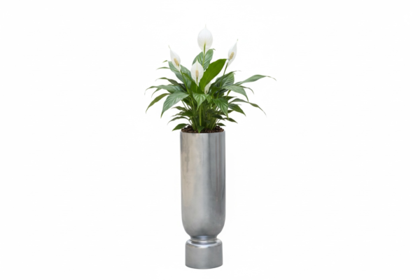 Reversible Planter w/ Insert