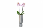 Reversible Planter w/ Insert