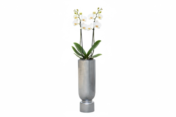 Reversible Planter w/ Insert