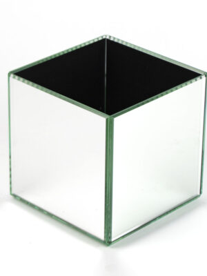 Glass Mirror Vase